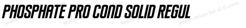 Phosphate Pro Cond Solid Regular字体转换